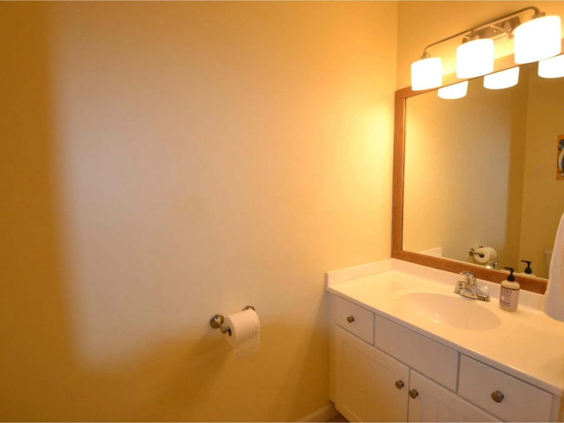 182 Farmall Drive Hinesburg VT 05461