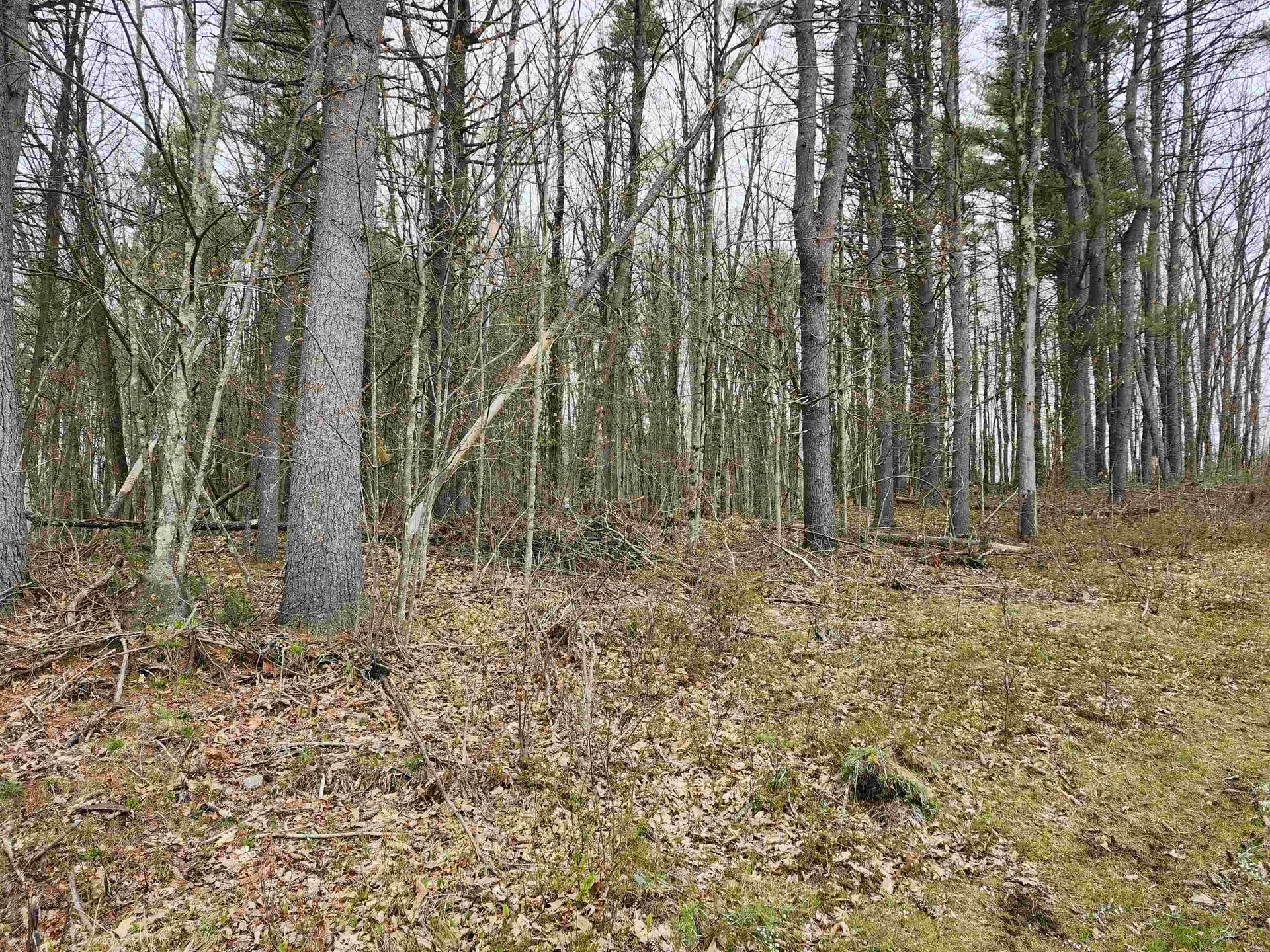 370 Shaker Road Concord NH 03301