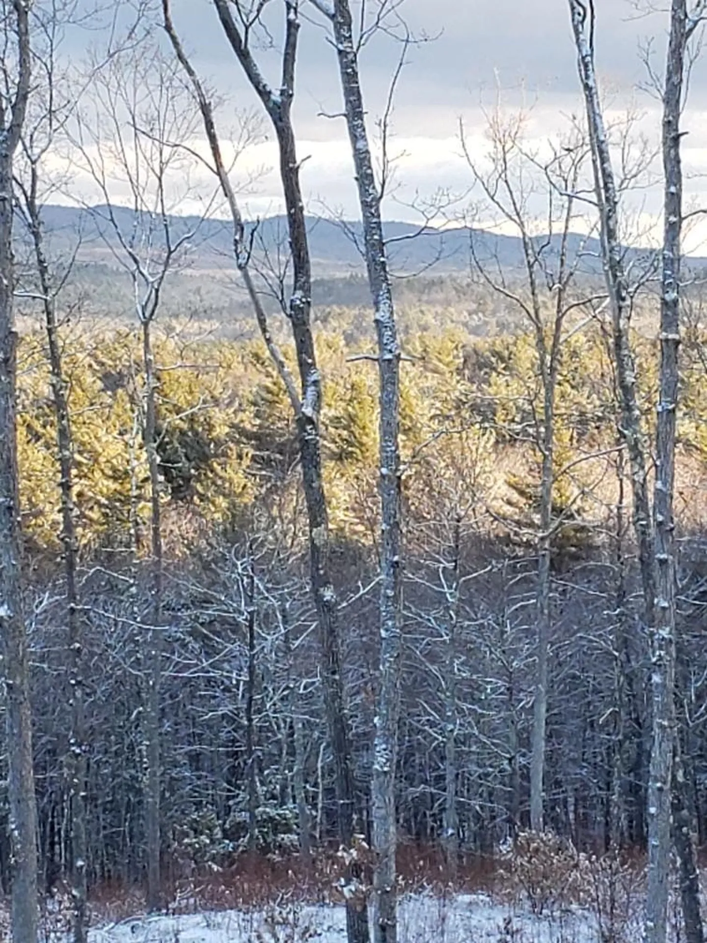 370 Shaker Road Concord NH 03301