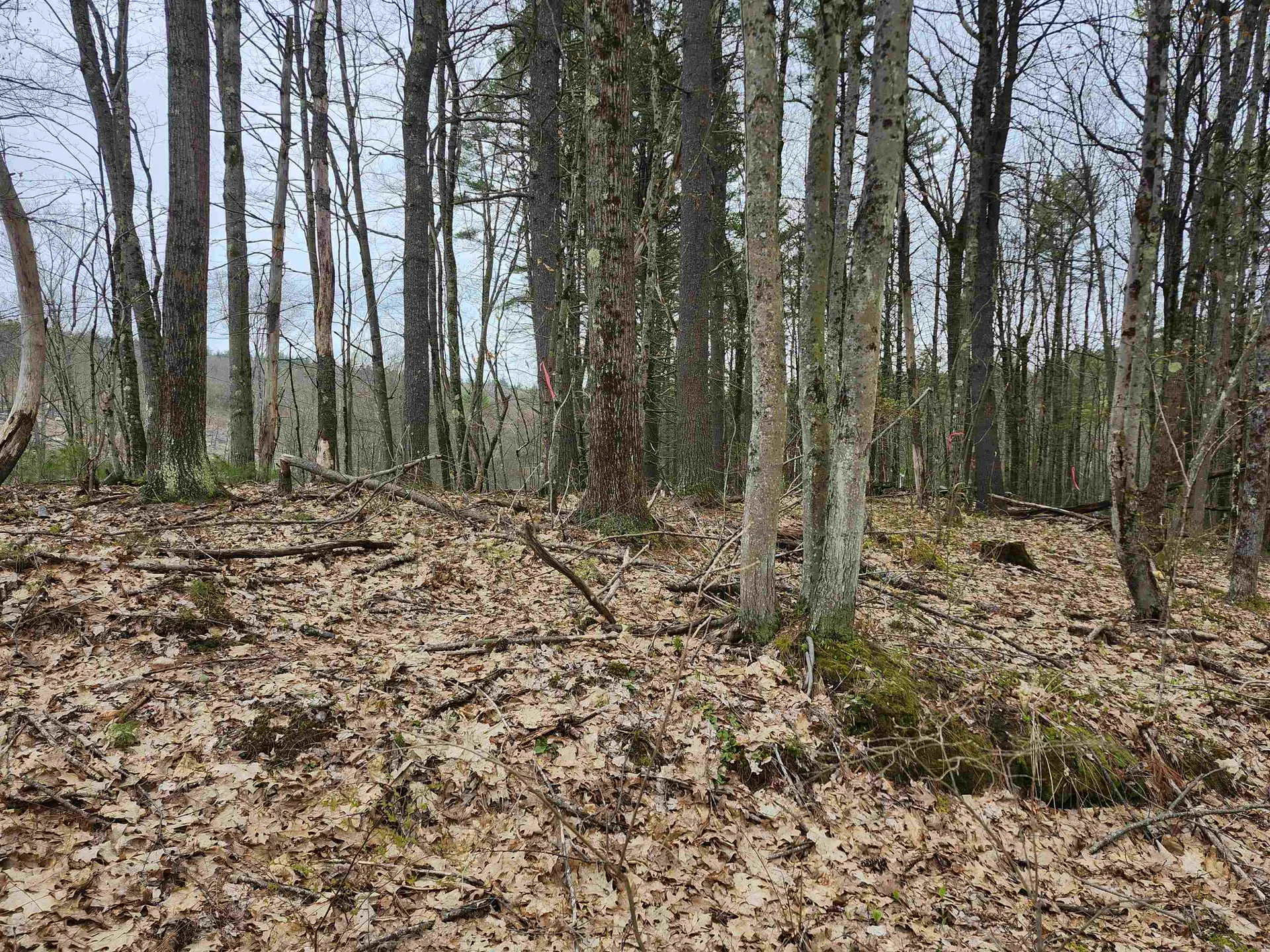 370 Shaker Road Concord NH 03301