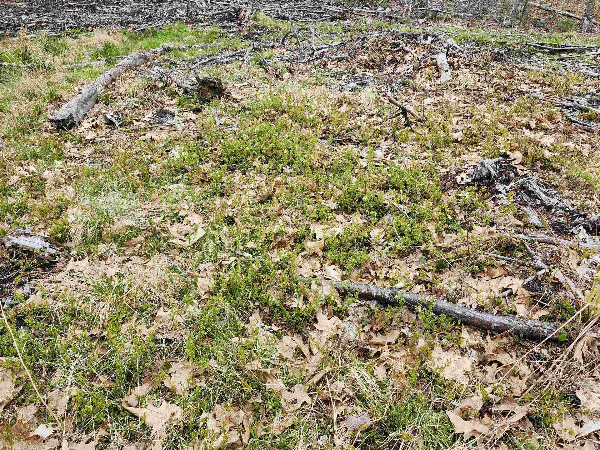 370 Shaker Road Concord NH 03301