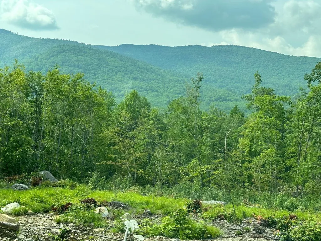 00 Bryant Heights Road Tamworth NH 03886