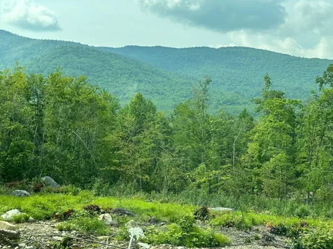 00 Bryant Heights Road Tamworth NH 03886