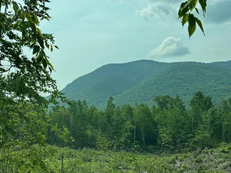 00 Bryant Heights Road Tamworth NH 03886