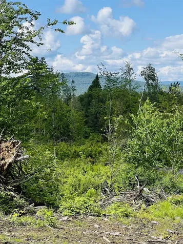 Lot 12 Page Hill Road Lancaster NH 03584