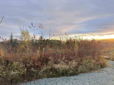 Lot 12 Page Hill Road Lancaster NH 03584