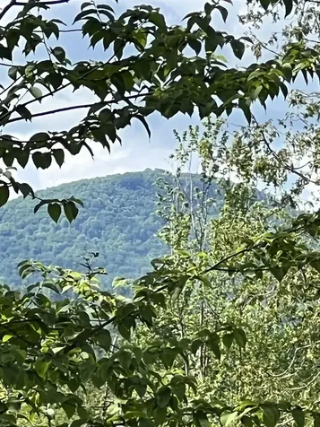 Lot 12 Page Hill Road Lancaster NH 03584