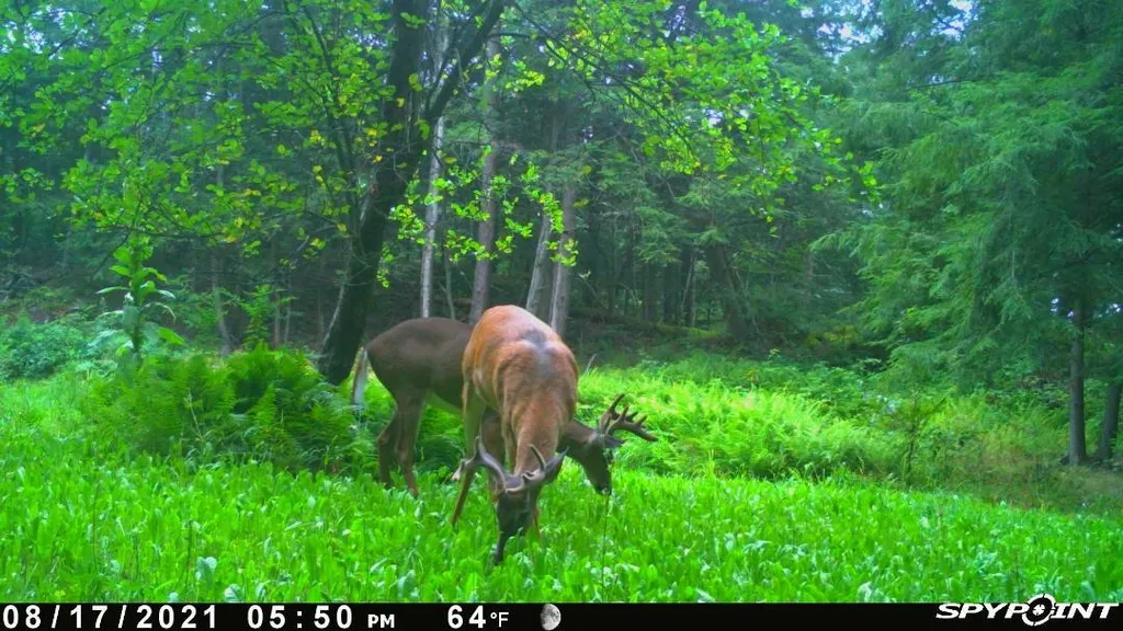 45 Rocky Ridge Road Fairfax VT 05454