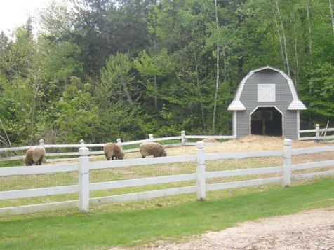 C19 Nordic Village Lane Bartlett NH 03812
