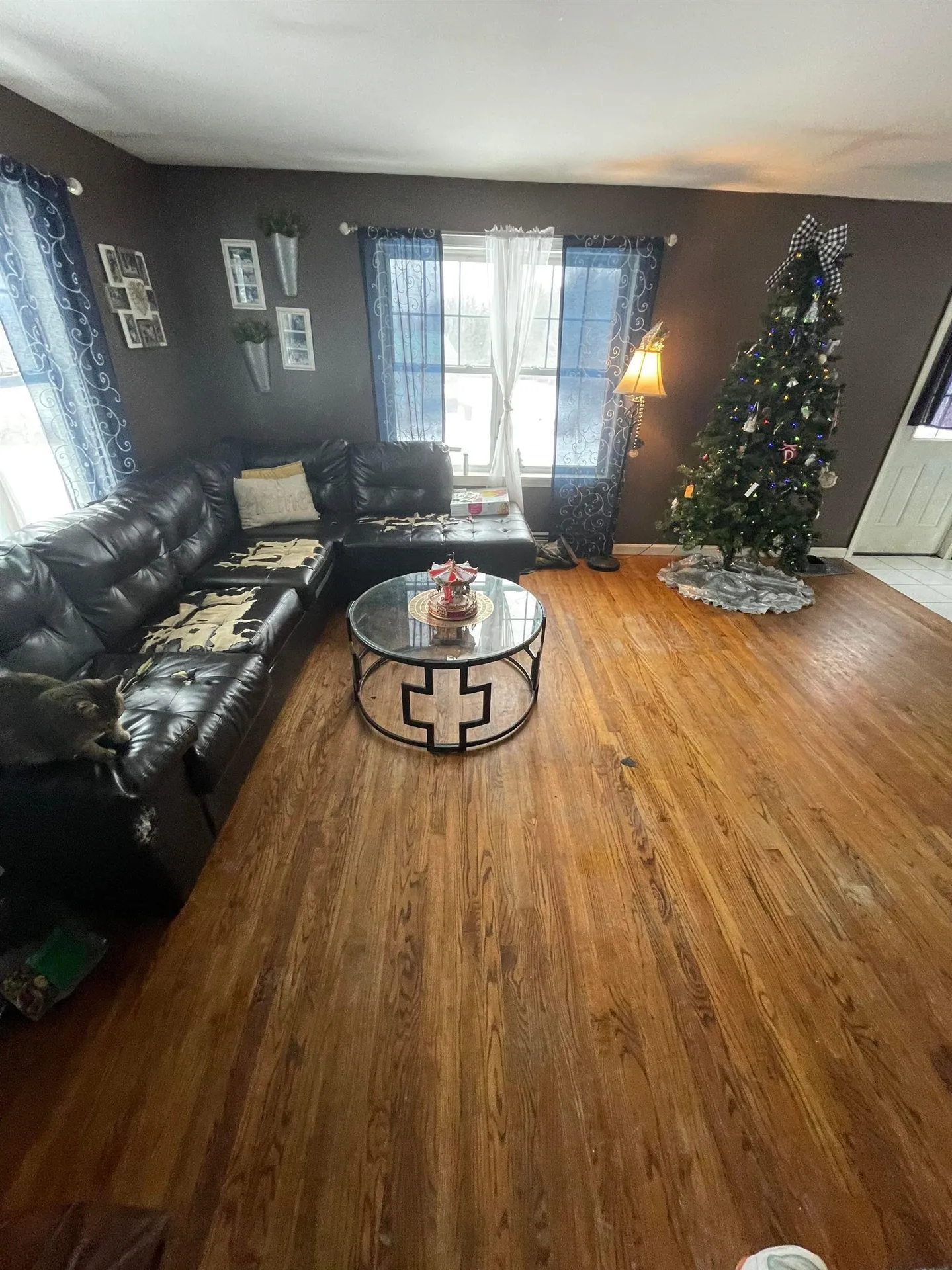 285 Currier Road Hill NH 03243