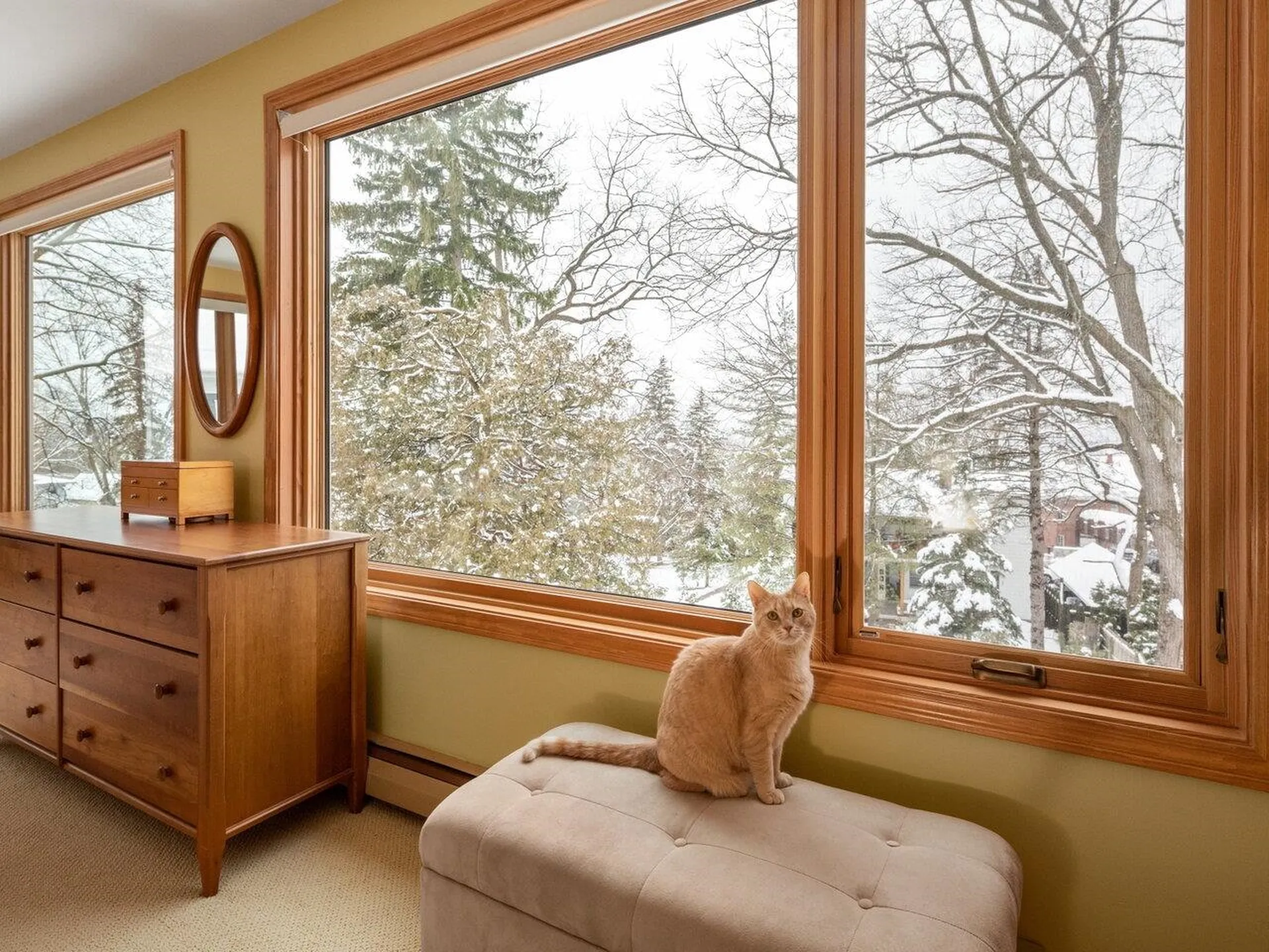 443 South Willard Street Burlington VT 05401