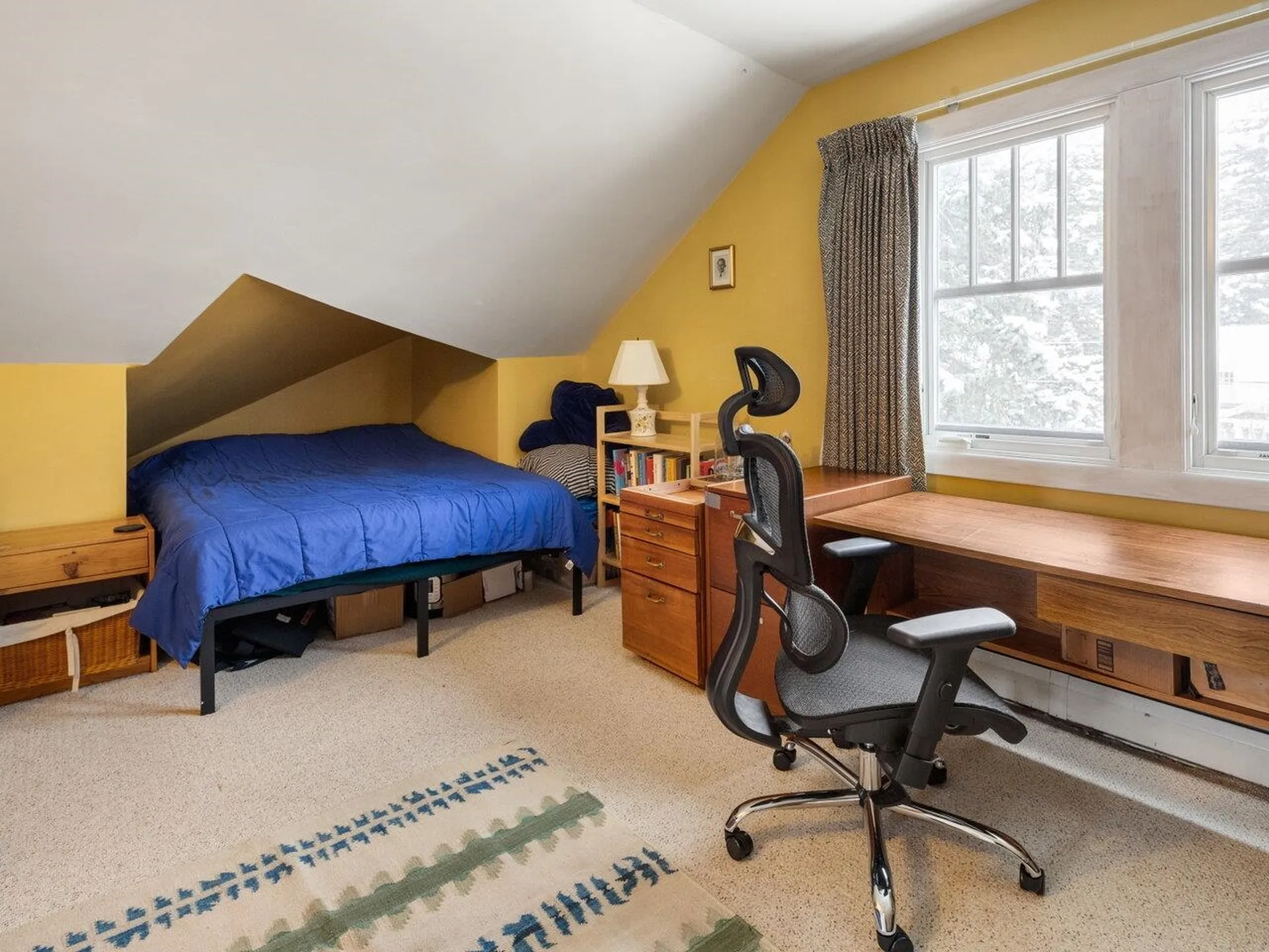 443 South Willard Street Burlington VT 05401
