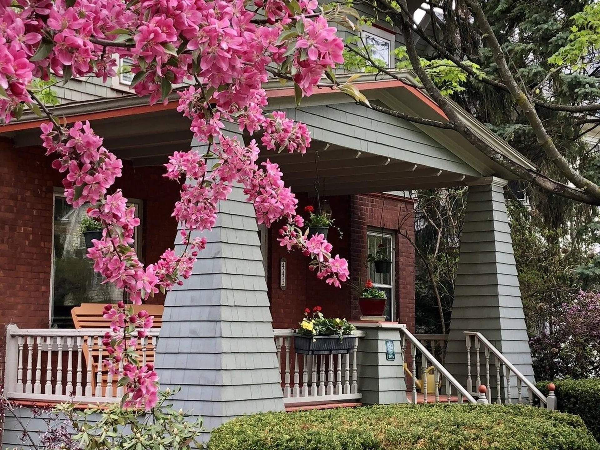 443 South Willard Street Burlington VT 05401