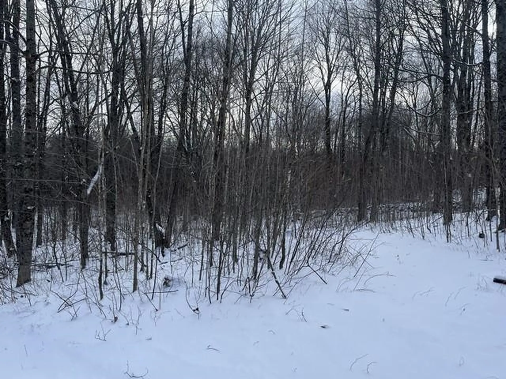 339 Hinman Road Glover VT 05839