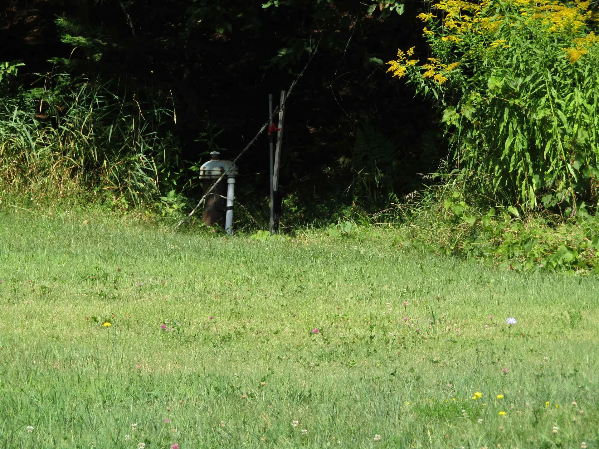528 Tenney Pond Road Newbury VT 05051