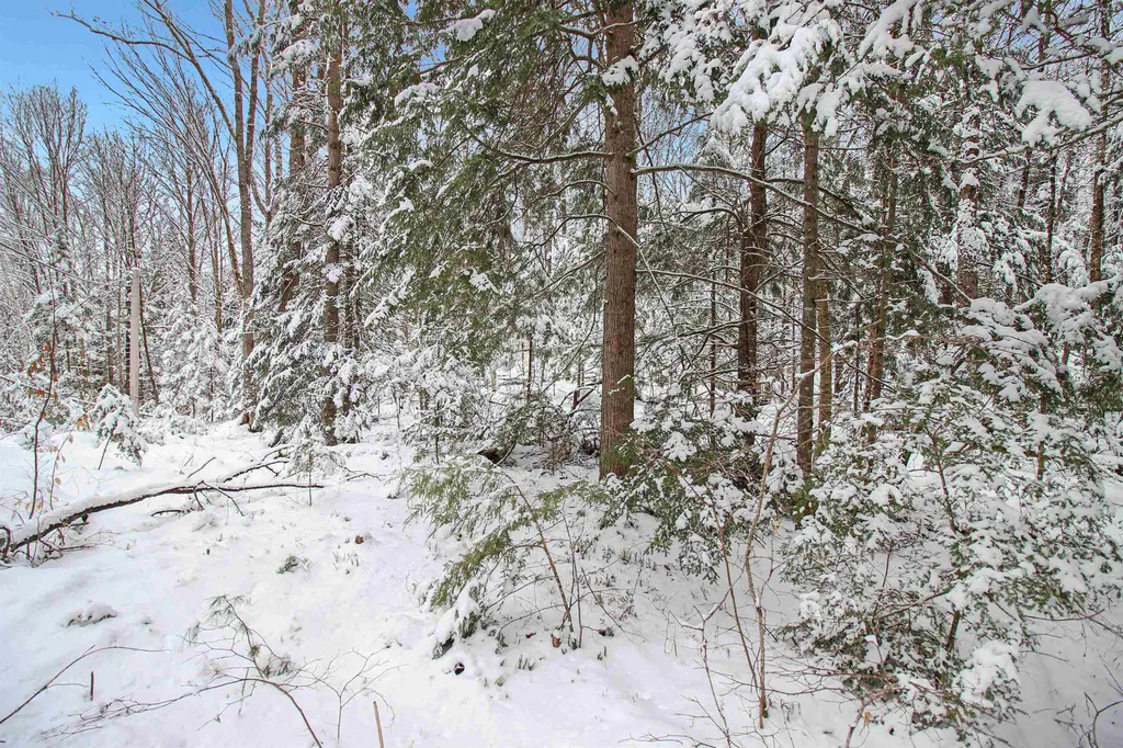 204-184 Hanover Drive Haverhill NH 03784