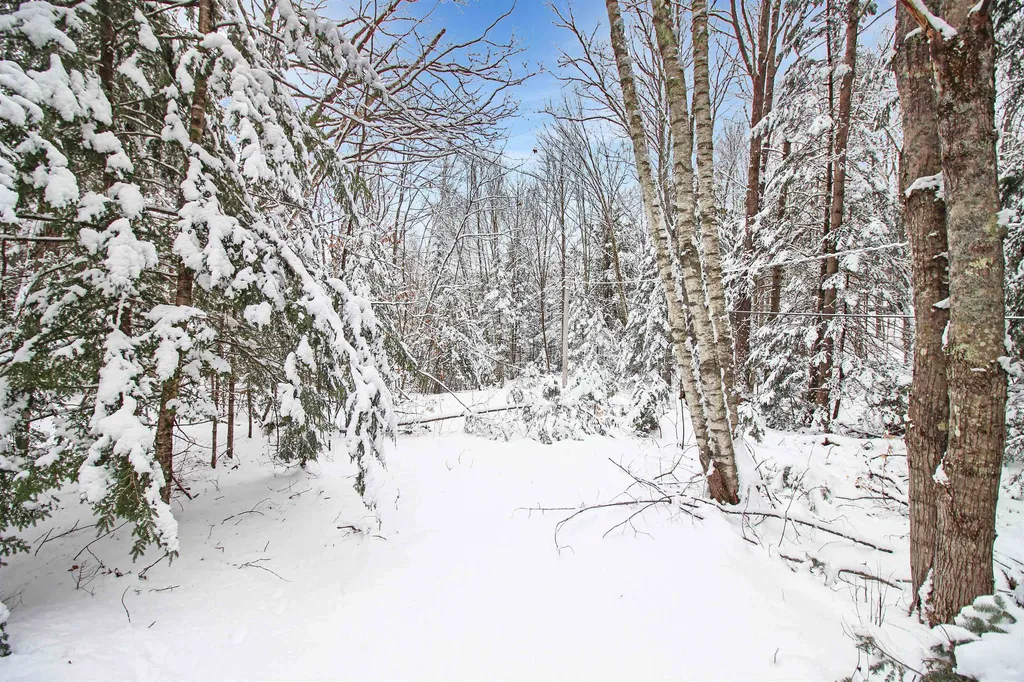 204-184 Hanover Drive Haverhill NH 03784
