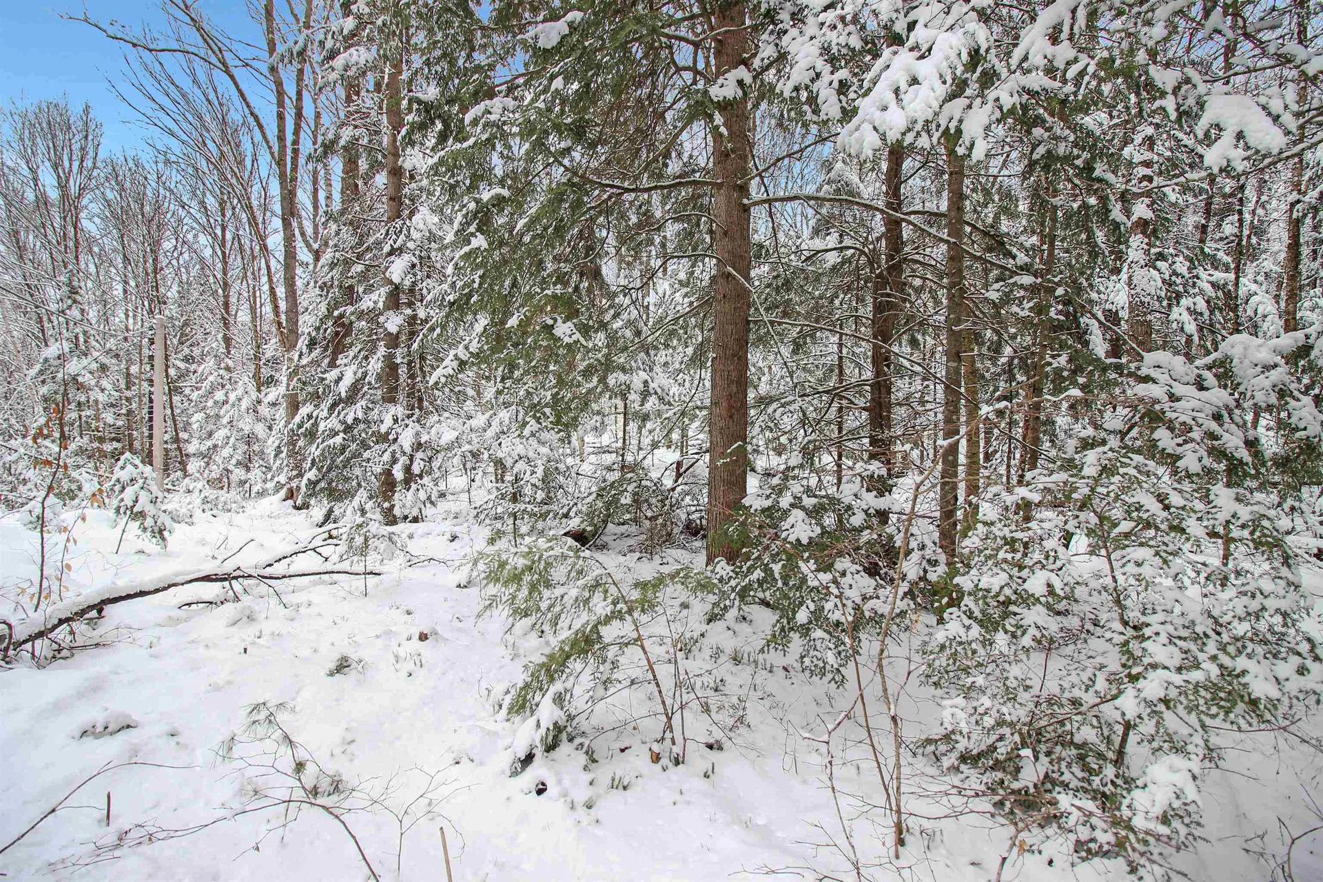 204-184 Hanover Drive Haverhill NH 03784