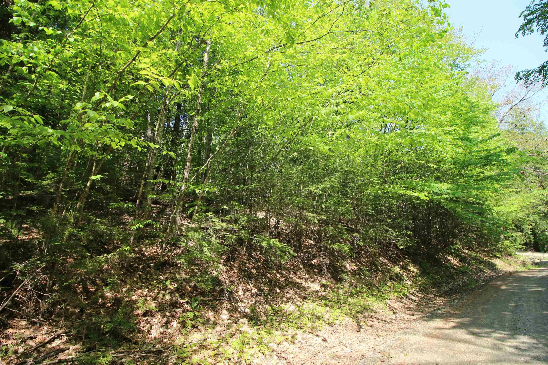 201-071 Hanover Drive Haverhill NH 03784