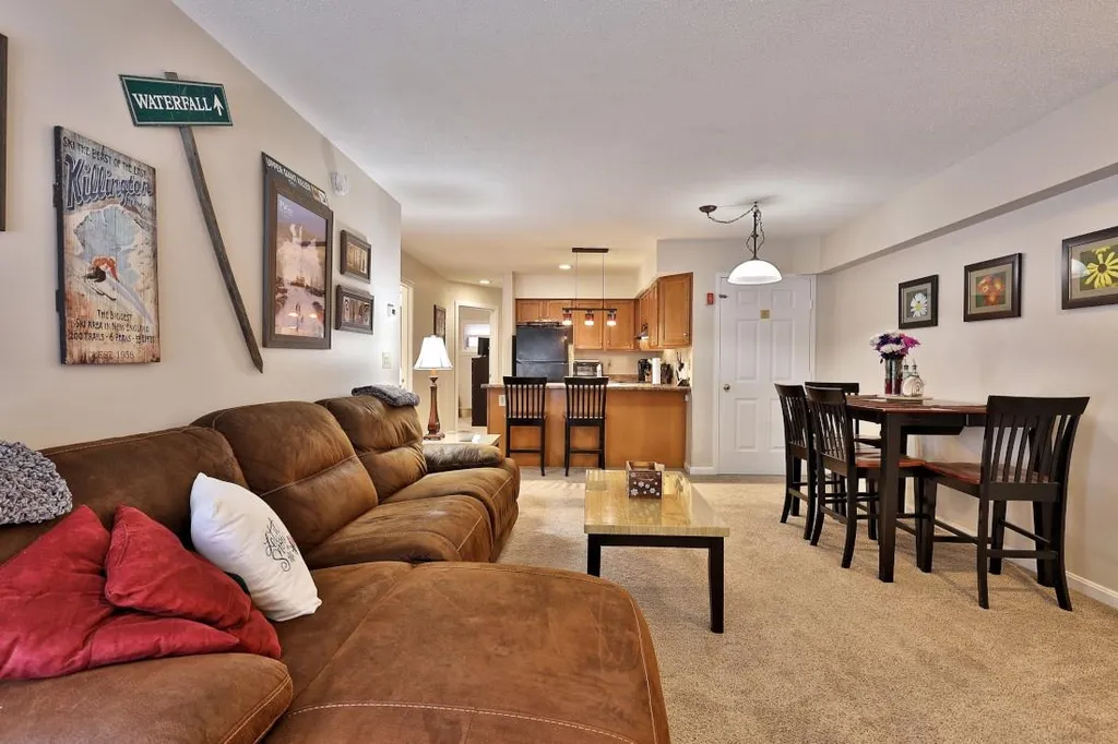55 Alpine Drive Killington VT 05751
