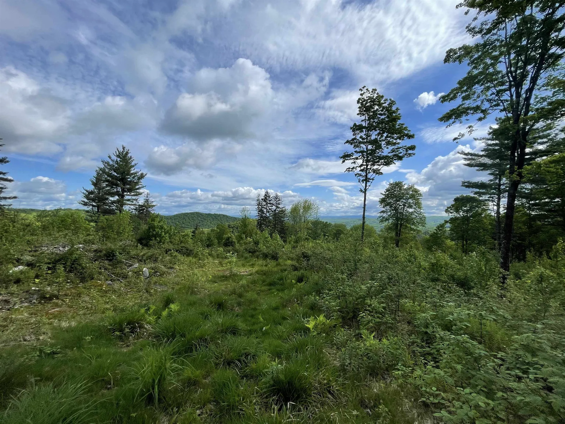 00 Mount Hunger Road Barnard VT 05031