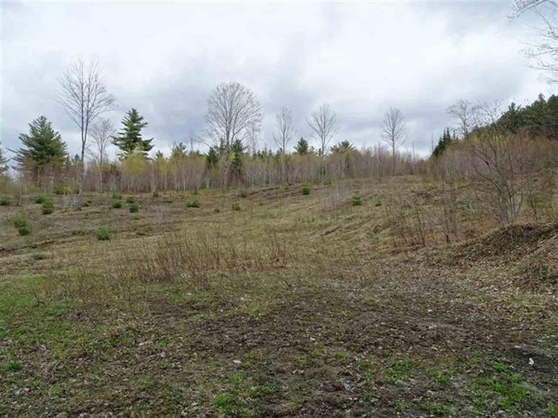 0 Sand Hill Road Glover VT 05839
