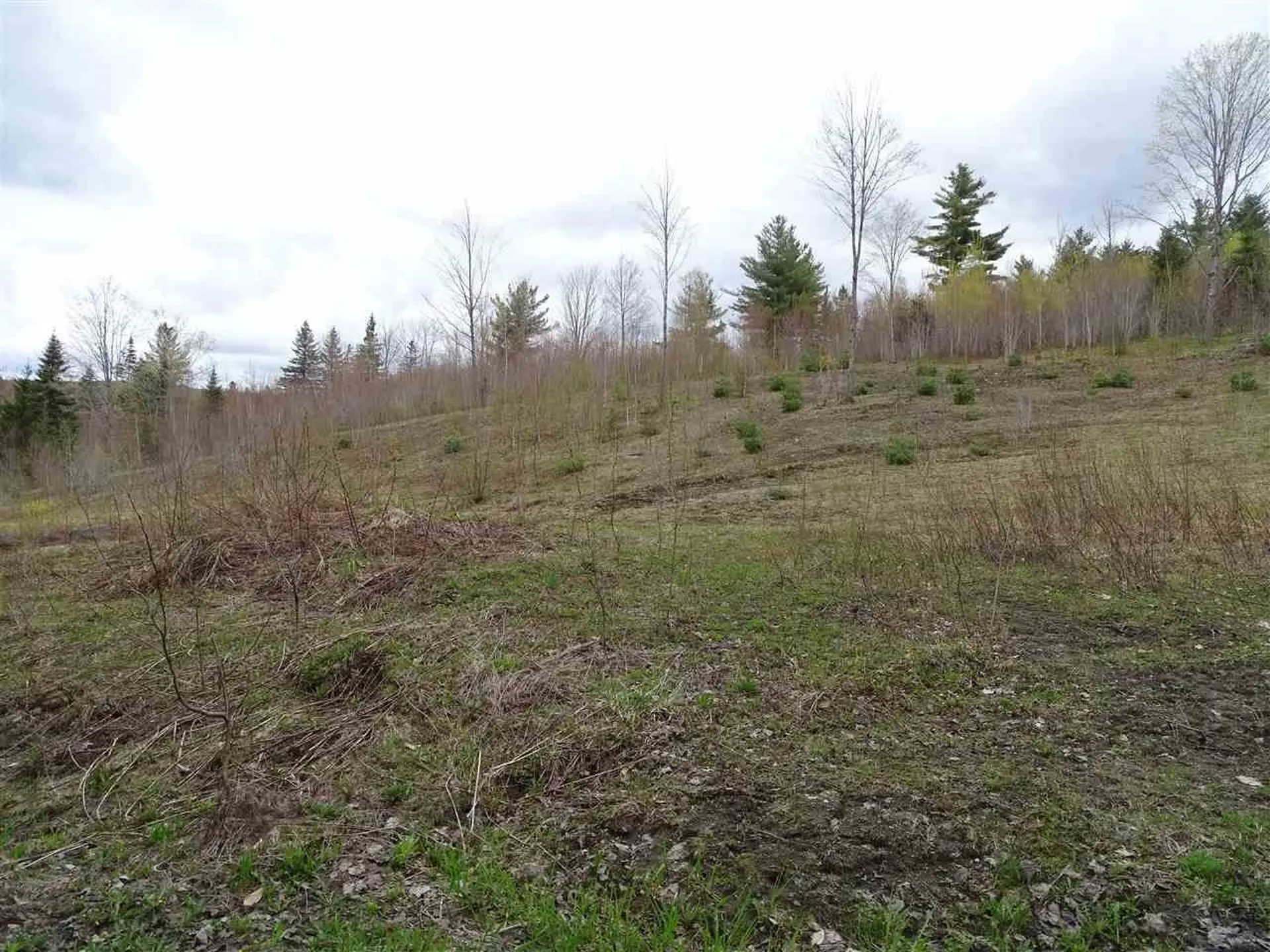 0 Sand Hill Road Glover VT 05839