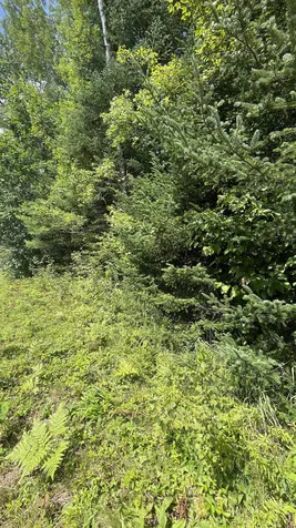 1343 Whitefield Road Bethlehem NH 03574