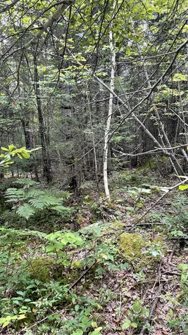 1343 Whitefield Road Bethlehem NH 03574