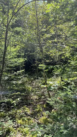 1343 Whitefield Road Bethlehem NH 03574