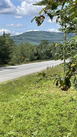 1343 Whitefield Road Bethlehem NH 03574