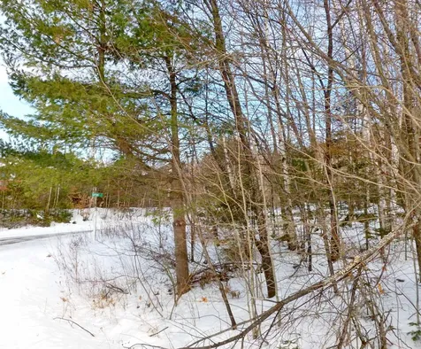 18-3D Sunset Paradise Road Jefferson NH 03583
