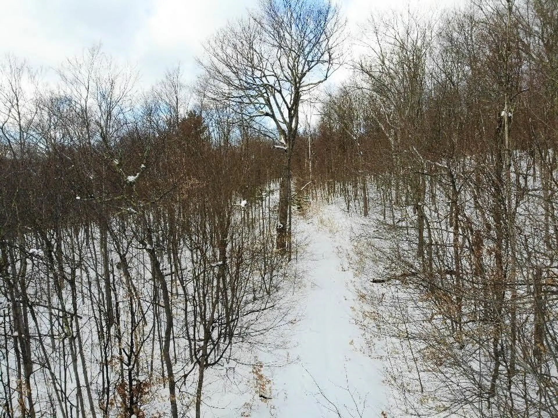 0 Cushing Road Hartford VT 05059