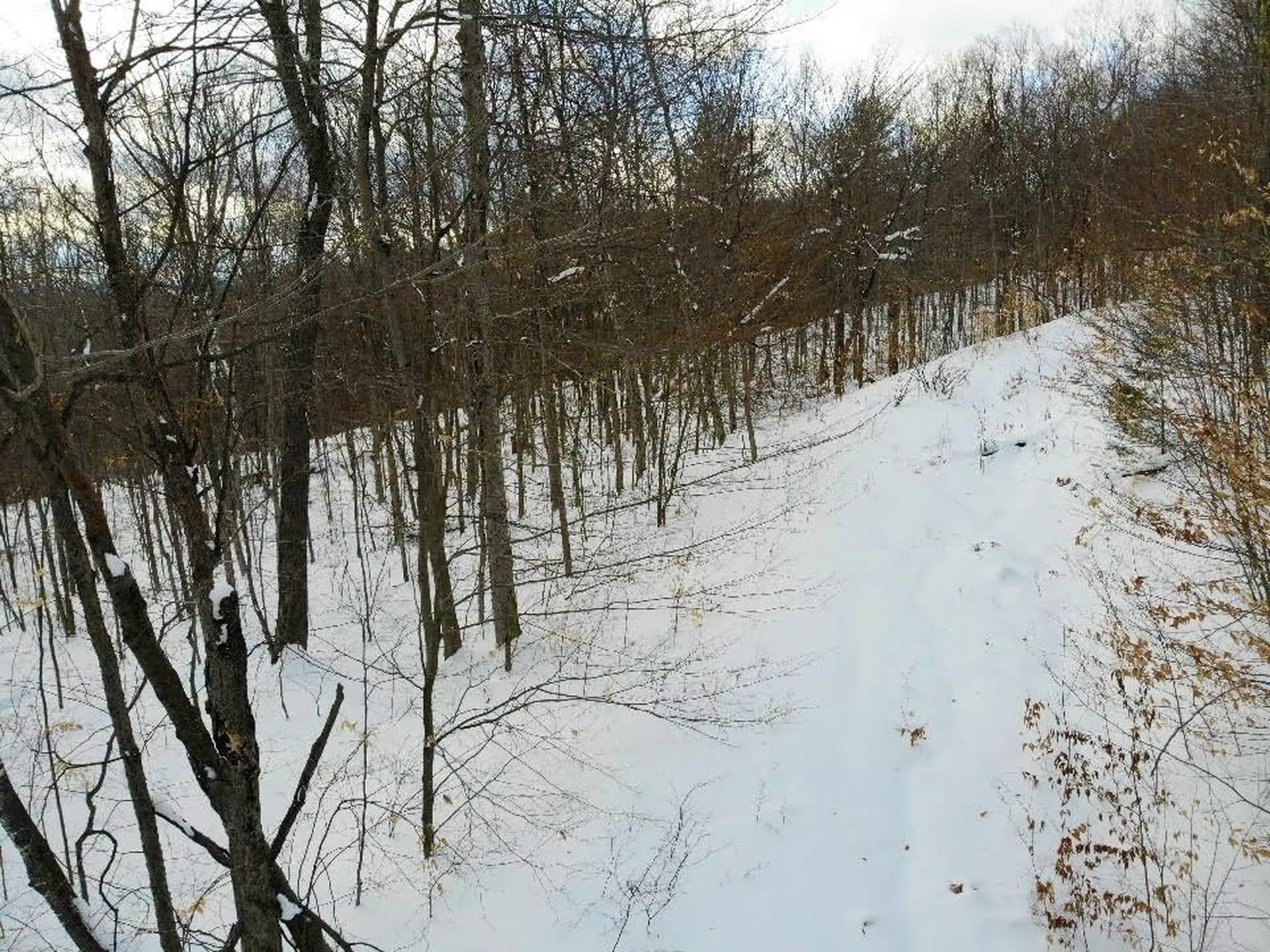 0 Cushing Road Hartford VT 05059