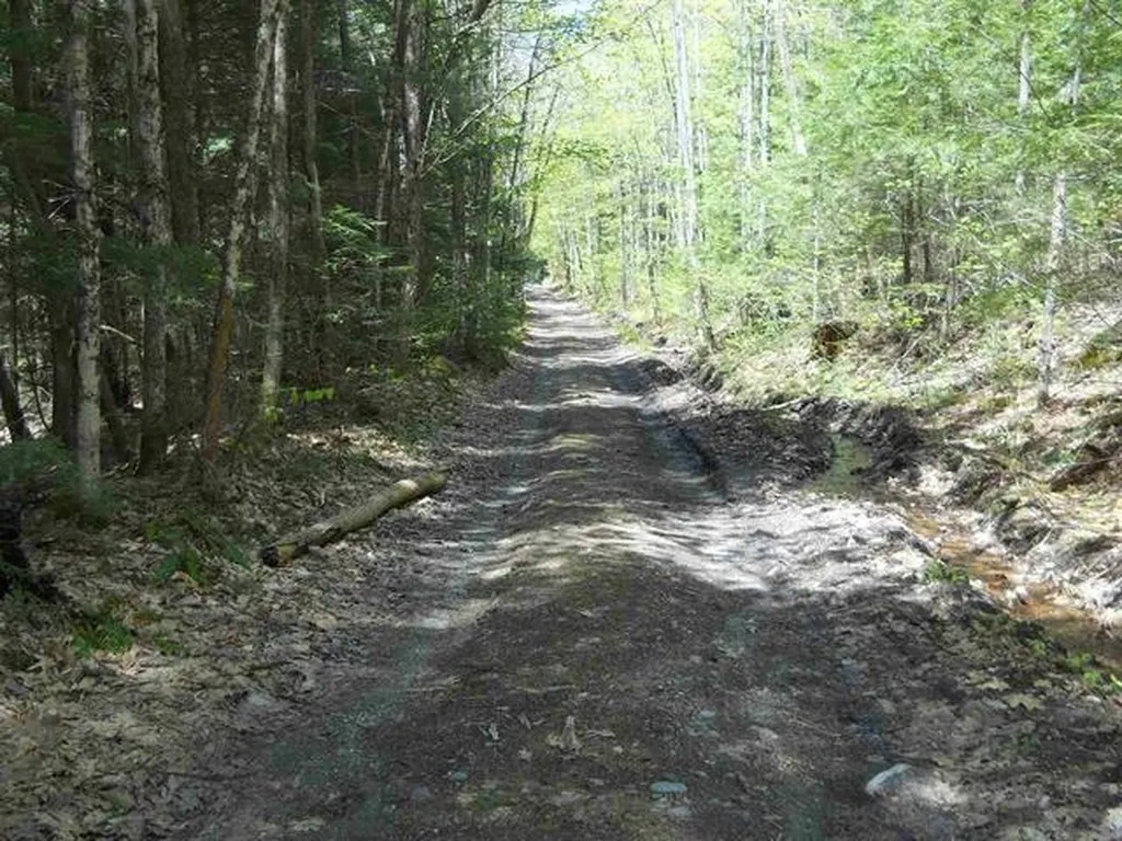 000 South Deming Road Cornish NH 03745