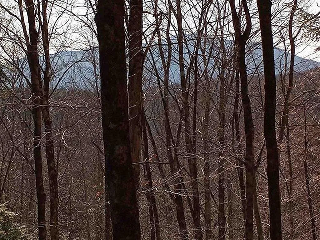 000 South Deming Road Cornish NH 03745