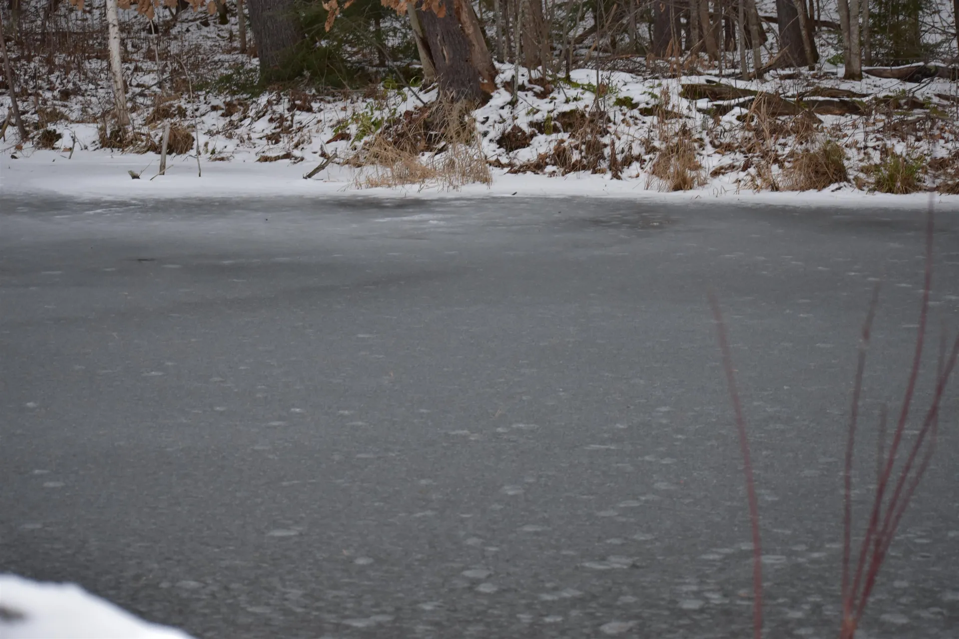 34 Grandview Road Lempster NH 03605