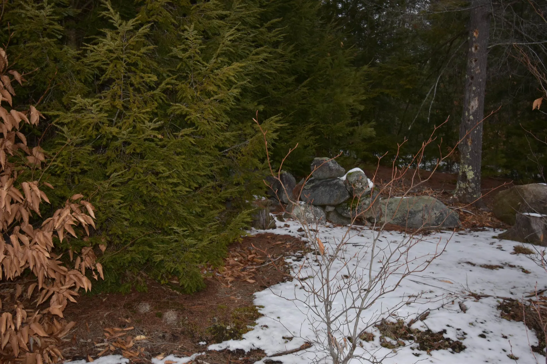 34 Grandview Road Lempster NH 03605