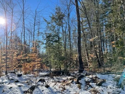 Lot 2-4 Leighton Corner Road Wakefield NH 03872