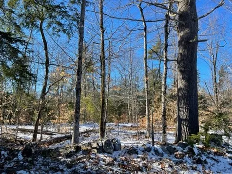 Lot 2-3 Leighton Corner Road Wakefield NH 03872