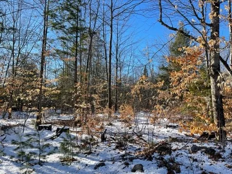 Lot 2-3 Leighton Corner Road Wakefield NH 03872