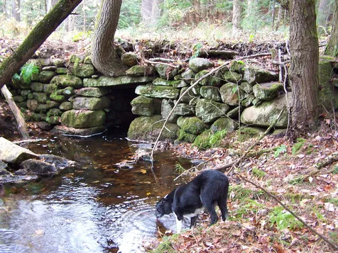 184 Gustin Pond Road Marlow NH 03456-0184
