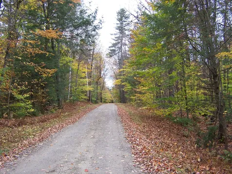 184 Gustin Pond Road Marlow NH 03456-0184