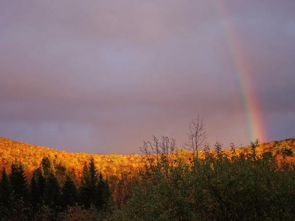 33 Tupper Road Underhill VT 05489