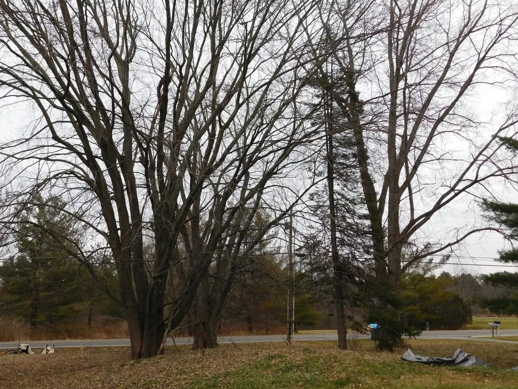 738 Mount Philo Road Shelburne VT 05482