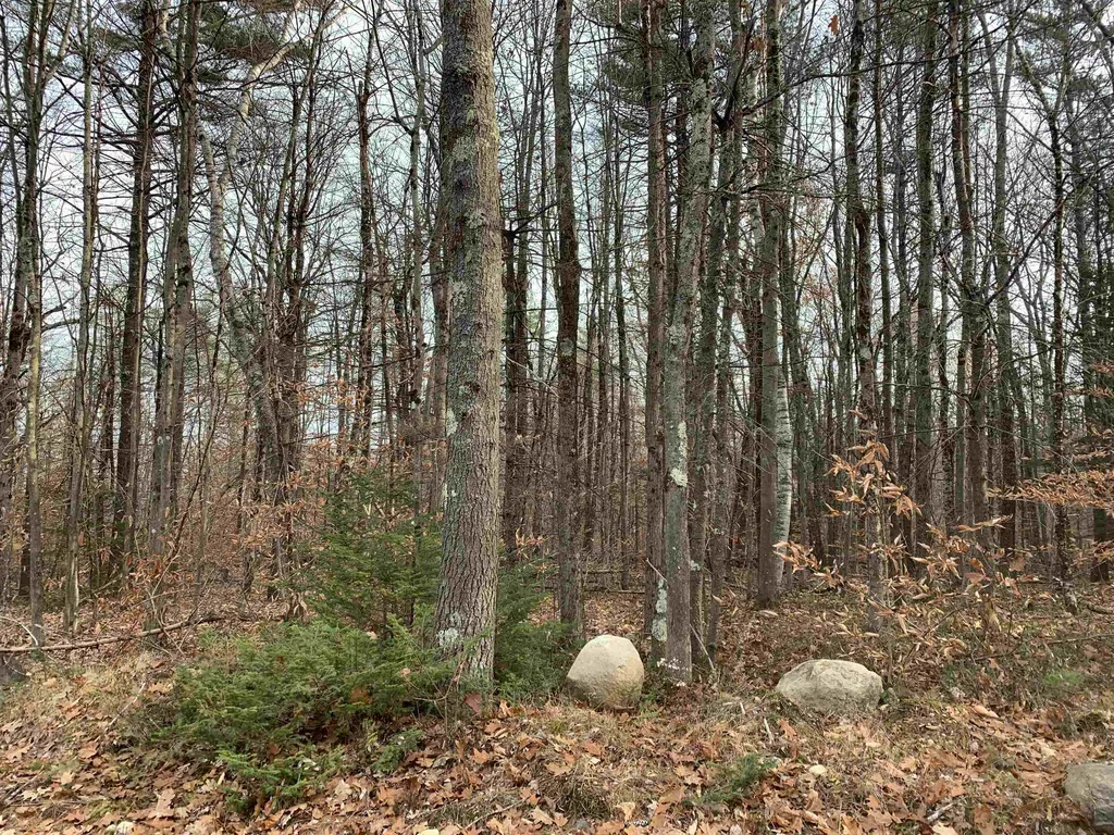 32 Neal Hill Road Tuftonboro NH 03816