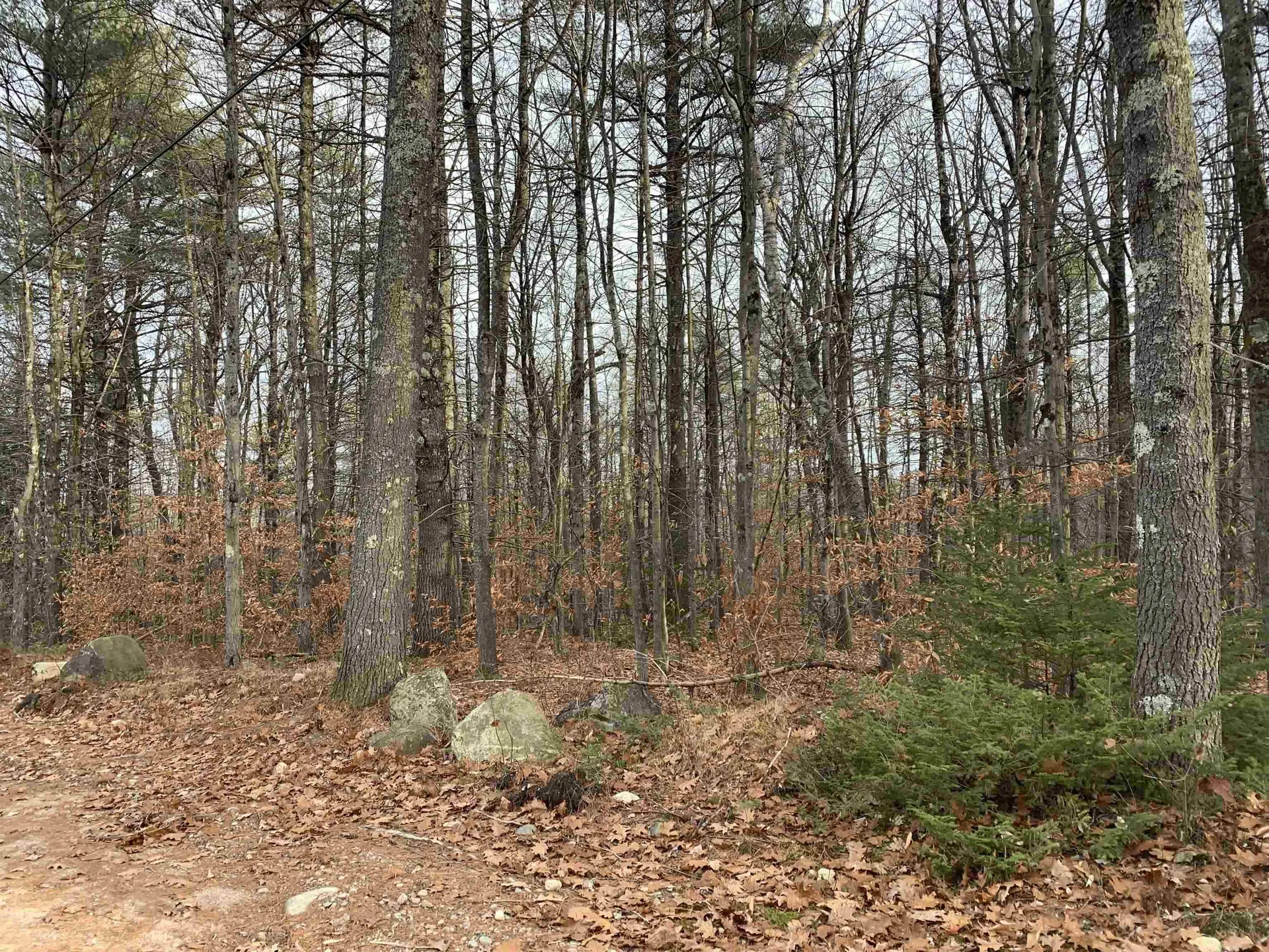 32 Neal Hill Road Tuftonboro NH 03816