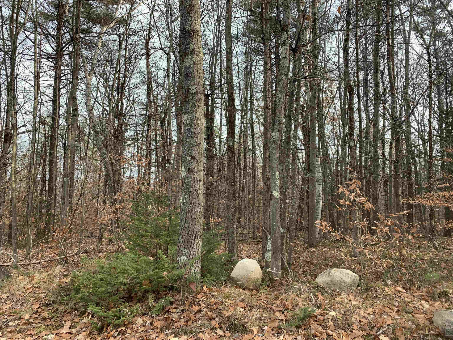 32 Neal Hill Road Tuftonboro NH 03816