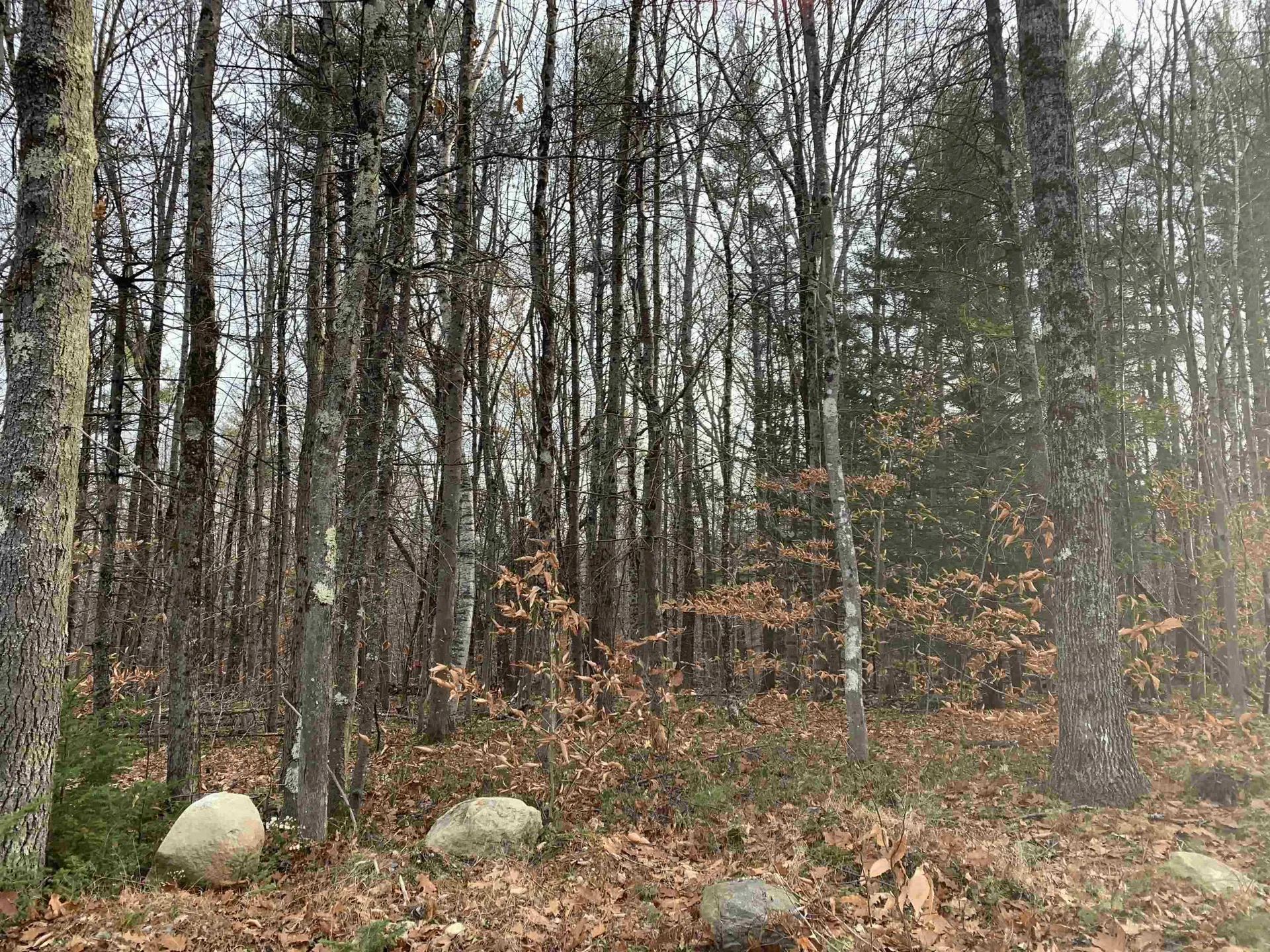 32 Neal Hill Road Tuftonboro NH 03816