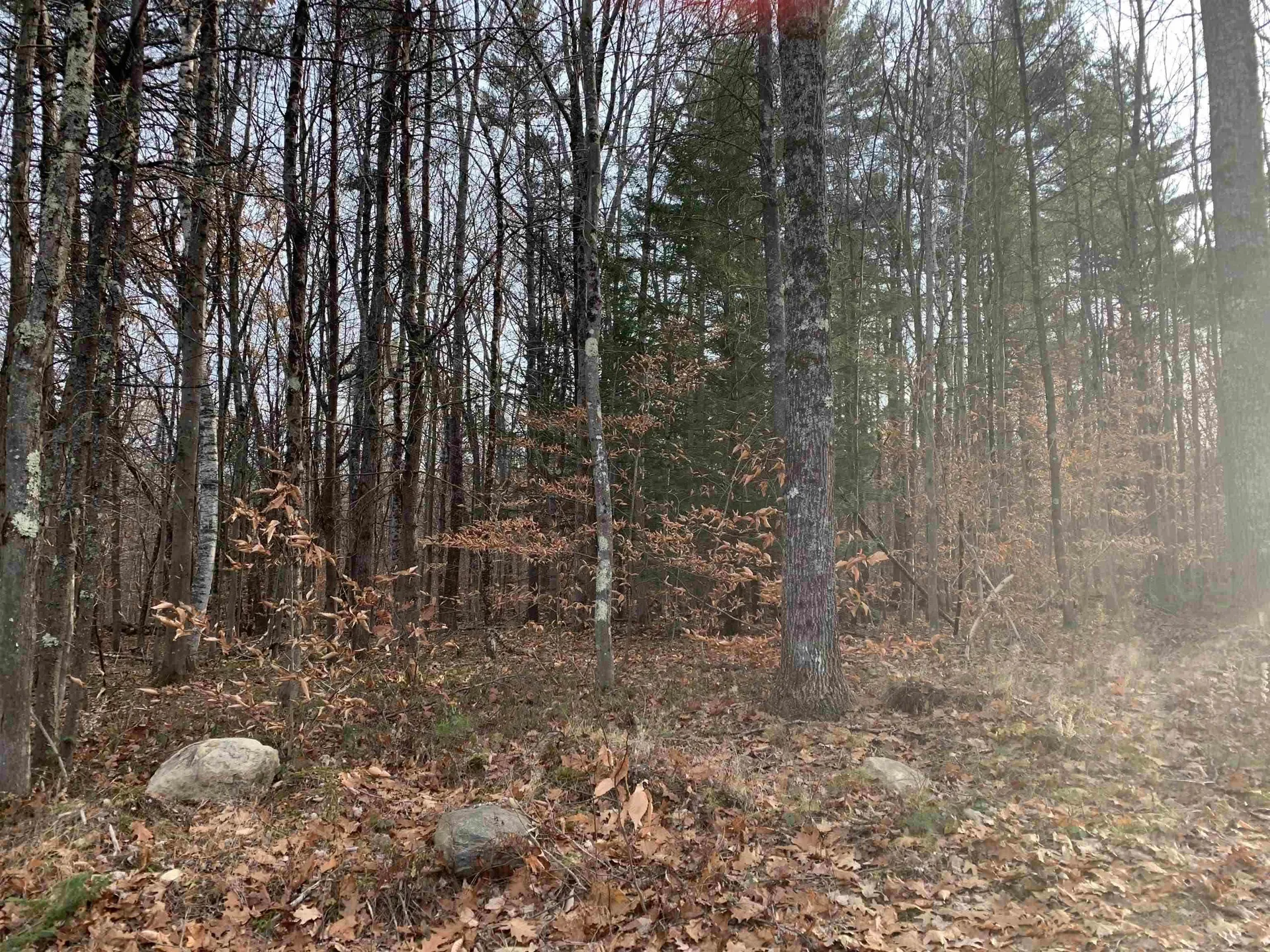 32 Neal Hill Road Tuftonboro NH 03816